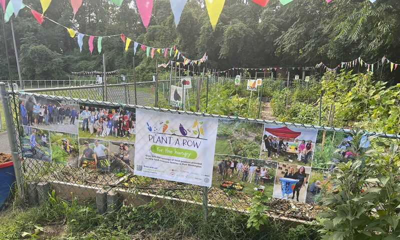 Consider planting an extra row for the hungry in your garden this spring